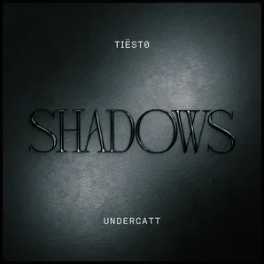 Tiësto & Undercatt – Shadows, leather artwork
